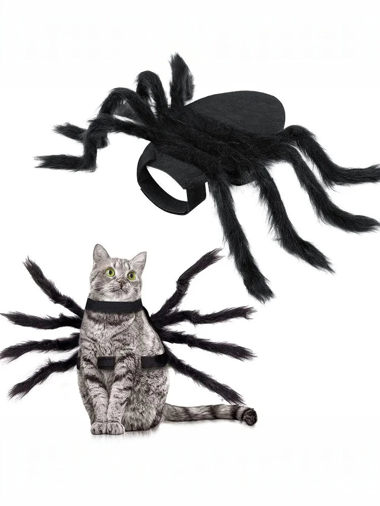 Spider Pet Costume for Dogs & Cats | NIGHTFALL