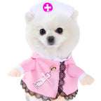 Halloween Pet Costume