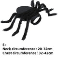 Spider Pet Costume for Dogs & Cats | NIGHTFALL