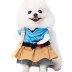 Halloween Pet Costume