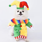 Halloween Pet Costume