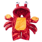 Halloween Pet Costume