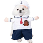 Halloween Pet Costume
