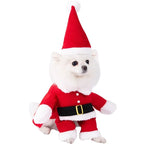 Halloween Pet Costume