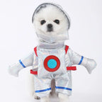 Halloween Pet Costume