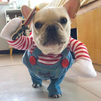 Halloween Pet Costume