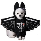 Halloween Pet Costume