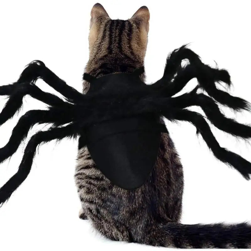 Spider Pet Costume for Dogs & Cats | NIGHTFALL