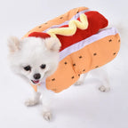 Halloween Pet Costume