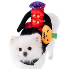 Halloween Pet Costume