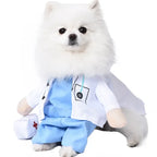Halloween Pet Costume