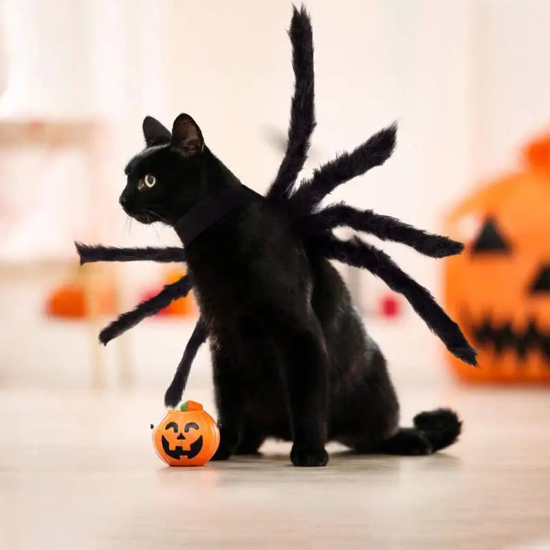 Spider Pet Costume for Dogs & Cats | NIGHTFALL