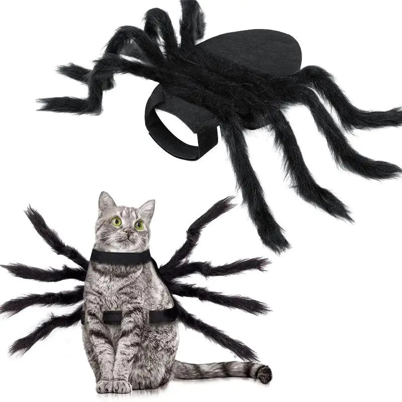 Spider Pet Costume for Dogs & Cats | NIGHTFALL