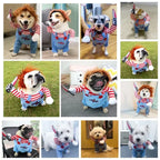 Halloween Pet Costume