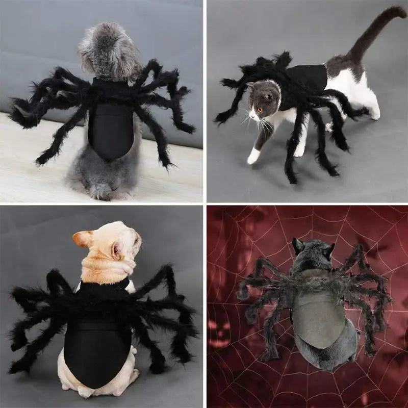 Spider Pet Costume for Dogs & Cats | NIGHTFALL
